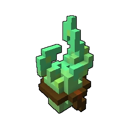 Cave Kelp
