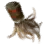 Centaurus Mane