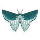 Common Blue Butterfly