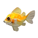 Radiant Sunfish