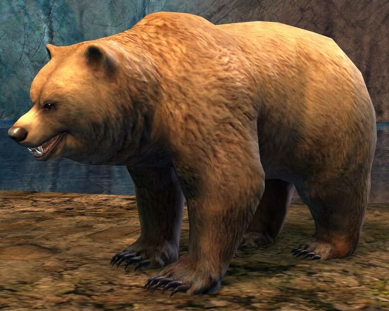 GW 2 — Pet