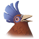 Peki