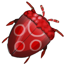 Raspberry Beetle