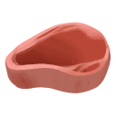 Sernuk Meat