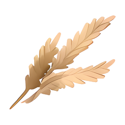 Wheat