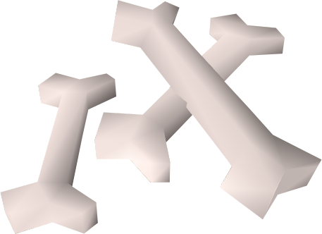 Baby Dragon Bones