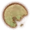 Memory Fragments